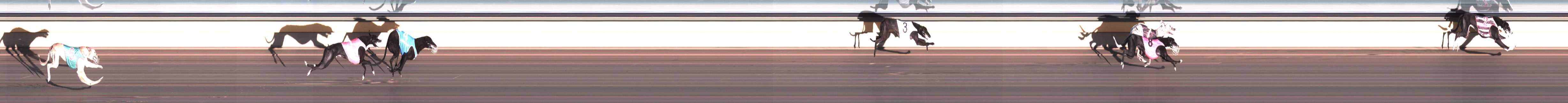 Photo finish for Horsham Race 2