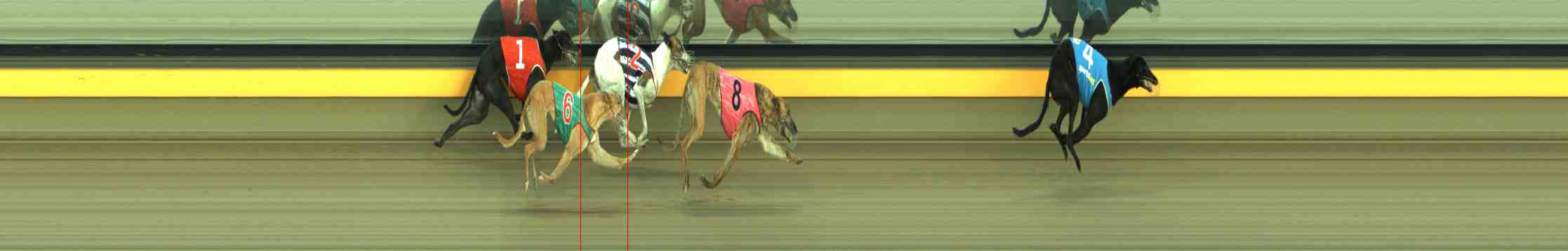 Photo finish for Horsham Race 3