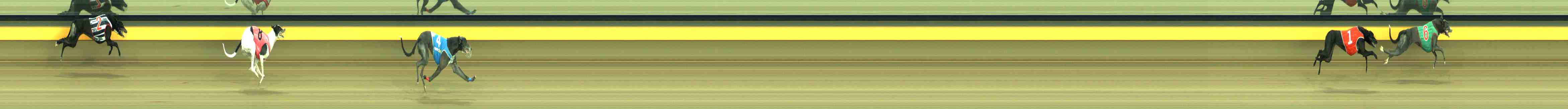 Photo finish for Horsham Race 4