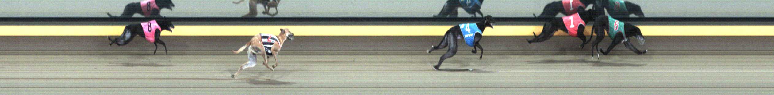 Photo finish for Horsham Race 5