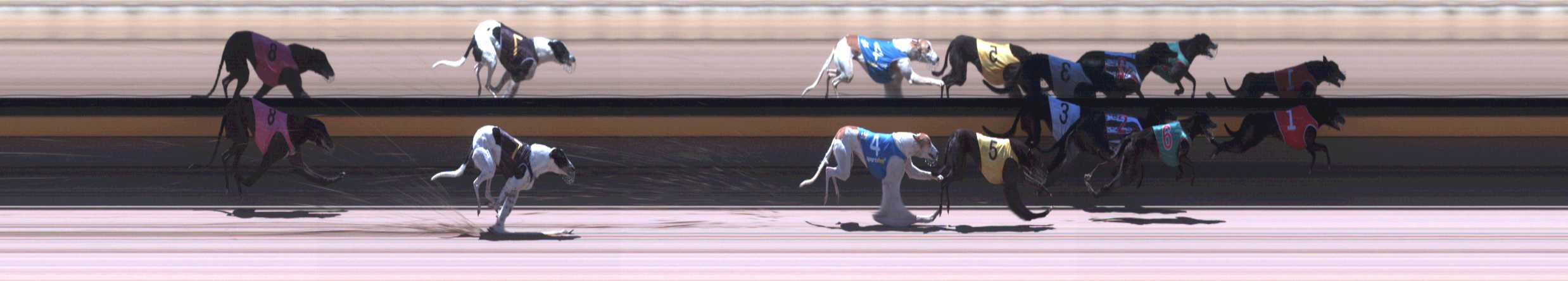 Photo finish for Horsham Race 2