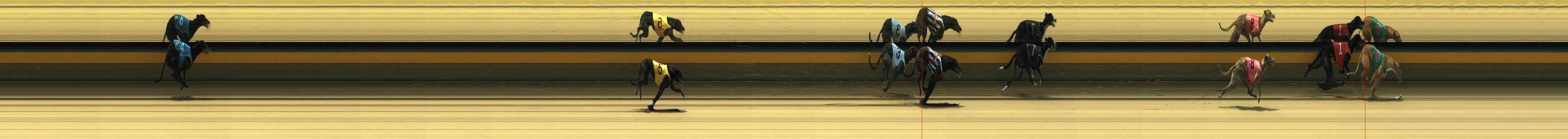 Photo finish for Horsham Race 3