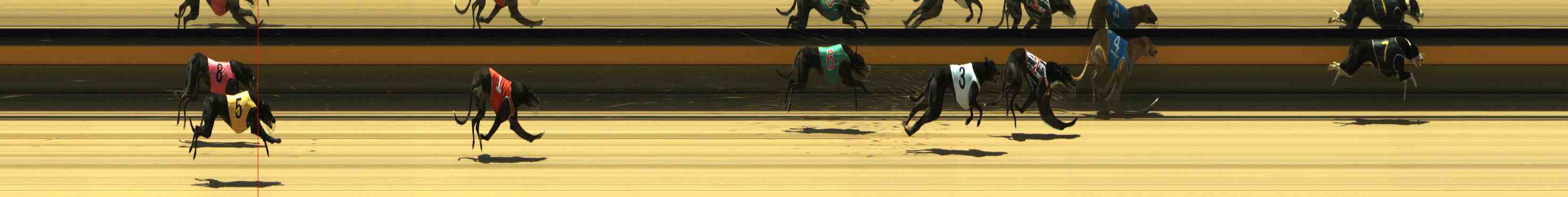Photo finish for Horsham Race 4