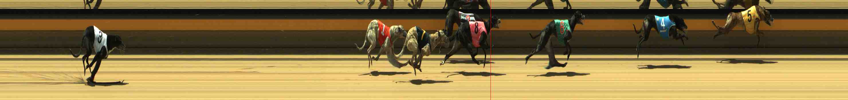 Photo finish for Horsham Race 5