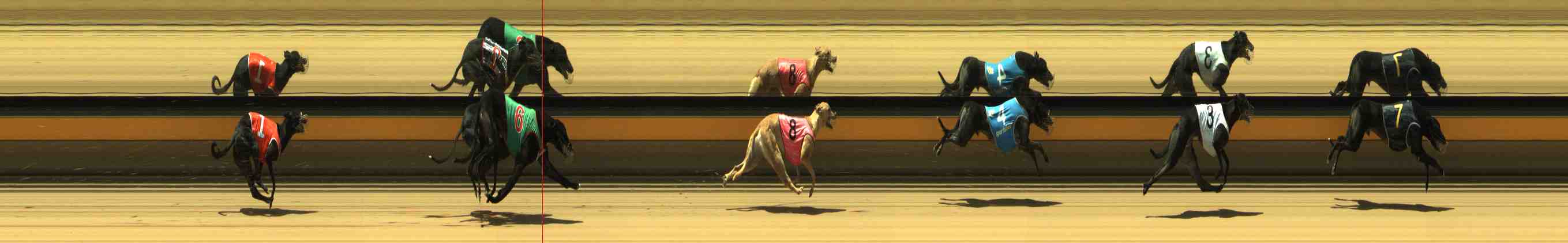 Photo finish for Horsham Race 6