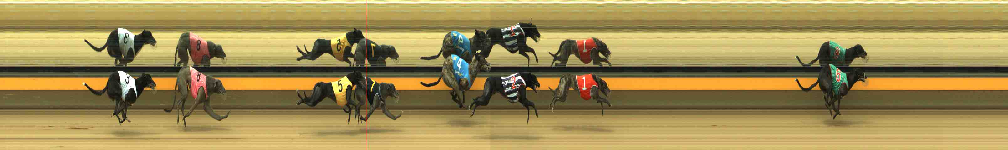 Photo finish for Horsham Race 8