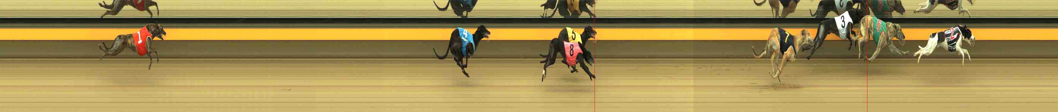 Photo finish for Horsham Race 9