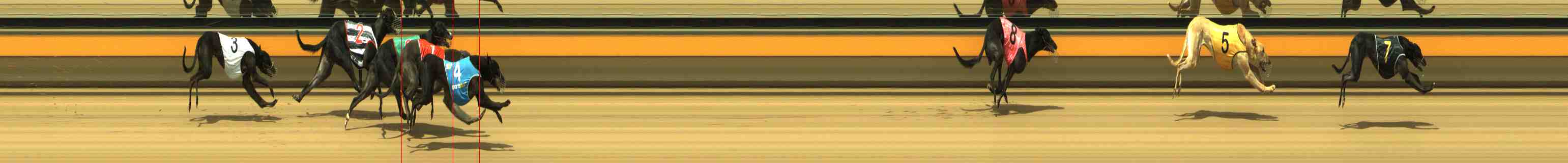 Photo finish for Horsham Race 10