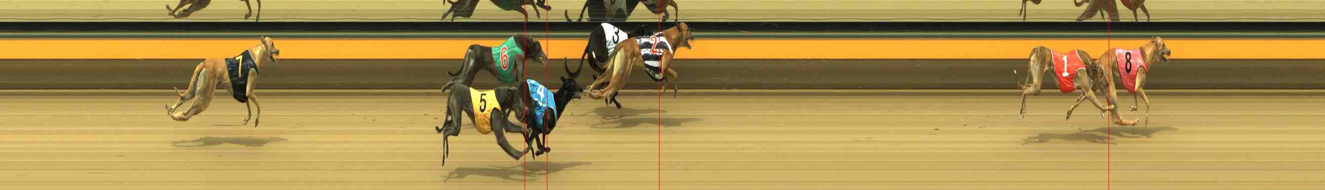 Photo finish for Horsham Race 11