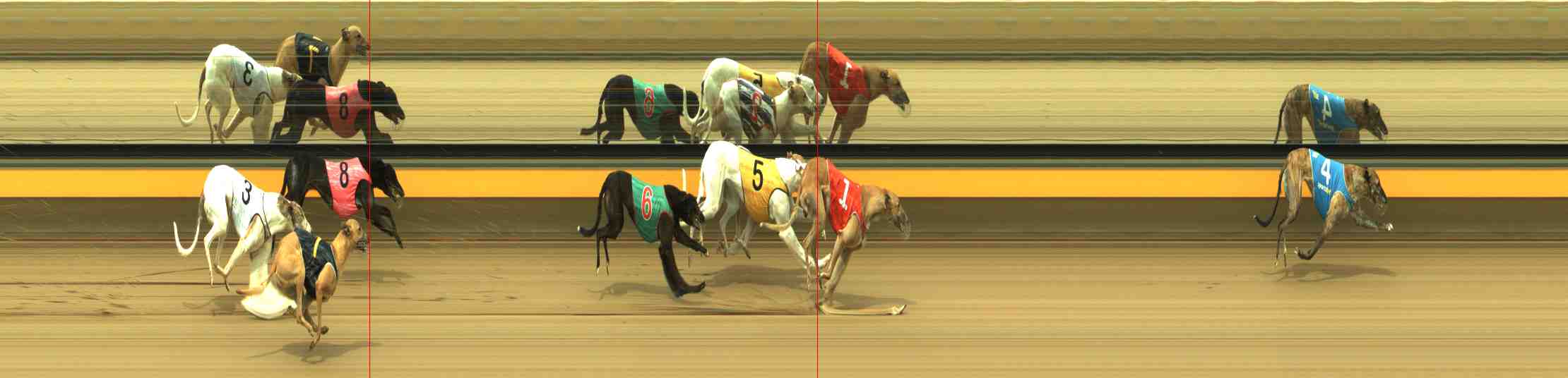 Photo finish for Horsham Race 12