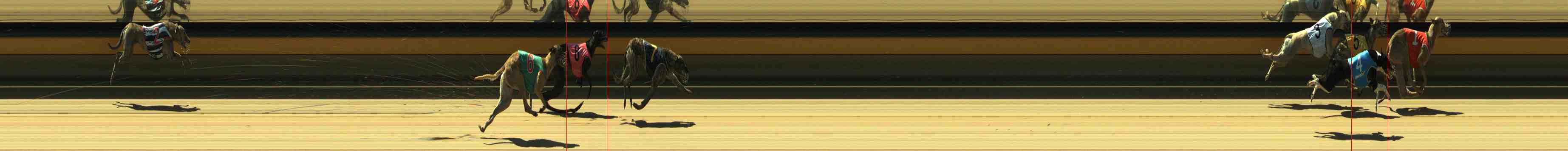 Photo finish for Horsham Race 3
