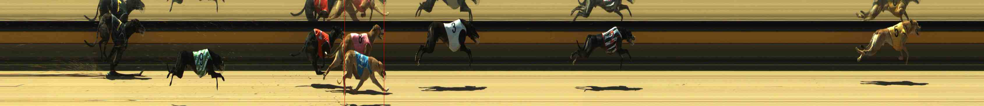 Photo finish for Horsham Race 4