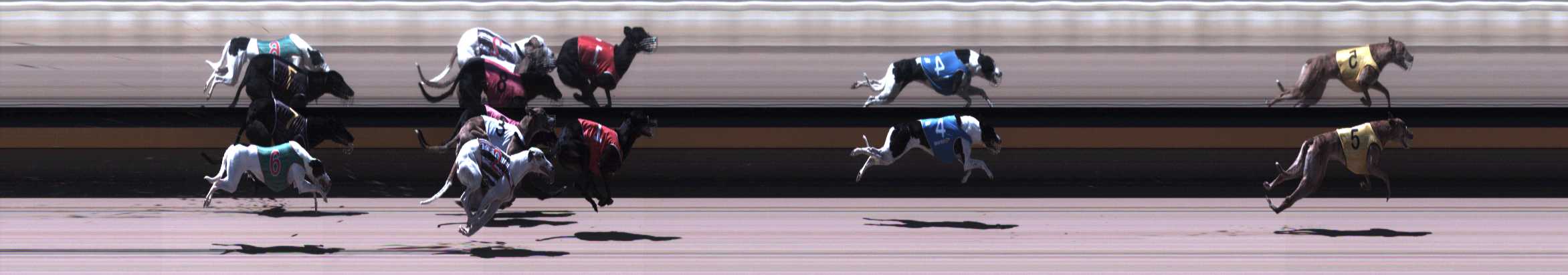 Photo finish for Horsham Race 5