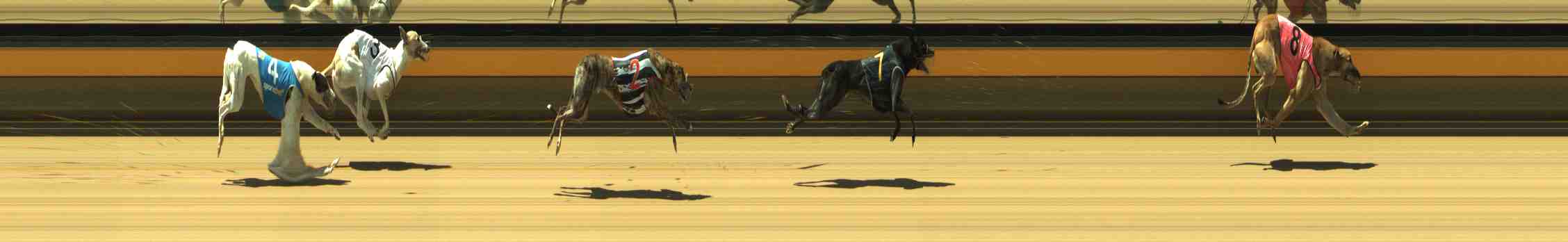 Photo finish for Horsham Race 7