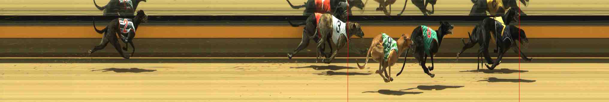 Photo finish for Horsham Race 8