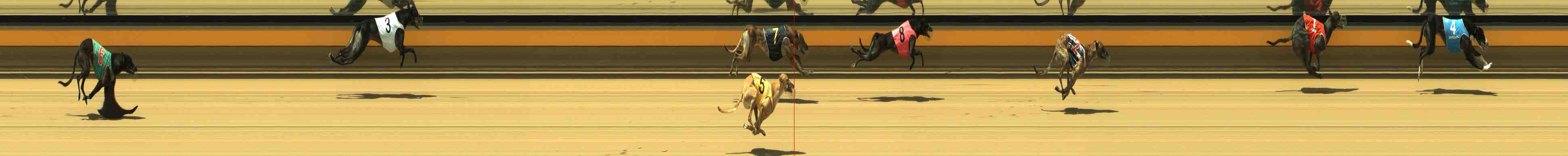 Photo finish for Horsham Race 9