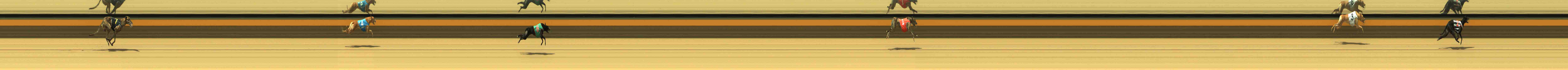 Photo finish for Horsham Race 10