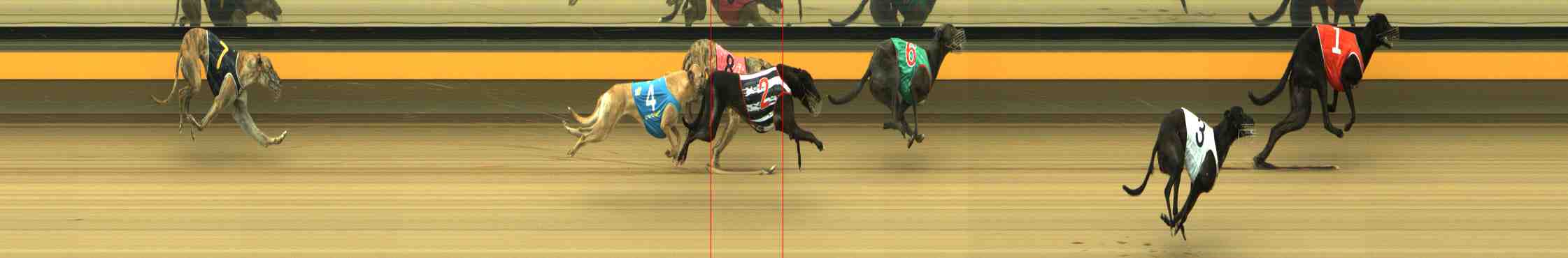 Photo finish for Horsham Race 12