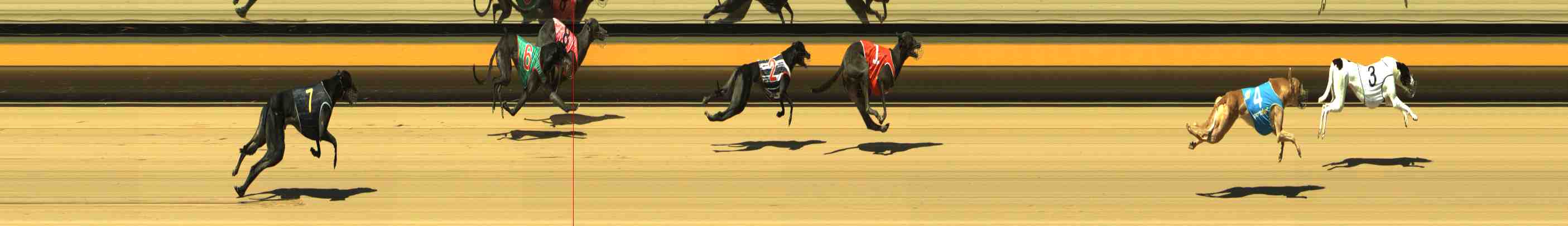 Photo finish for Horsham Race 2