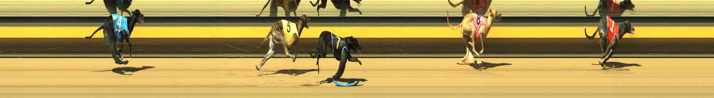 Photo finish for Horsham Race 3