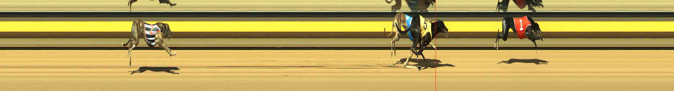 Photo finish for Horsham Race 4
