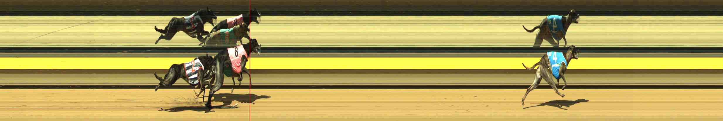 Photo finish for Horsham Race 5