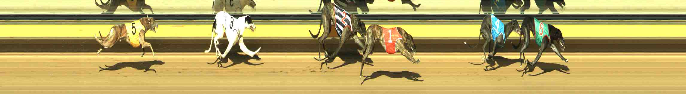 Photo finish for Horsham Race 8