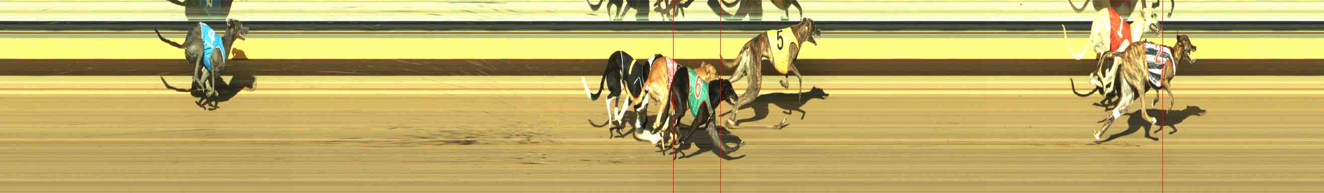 Photo finish for Horsham Race 10