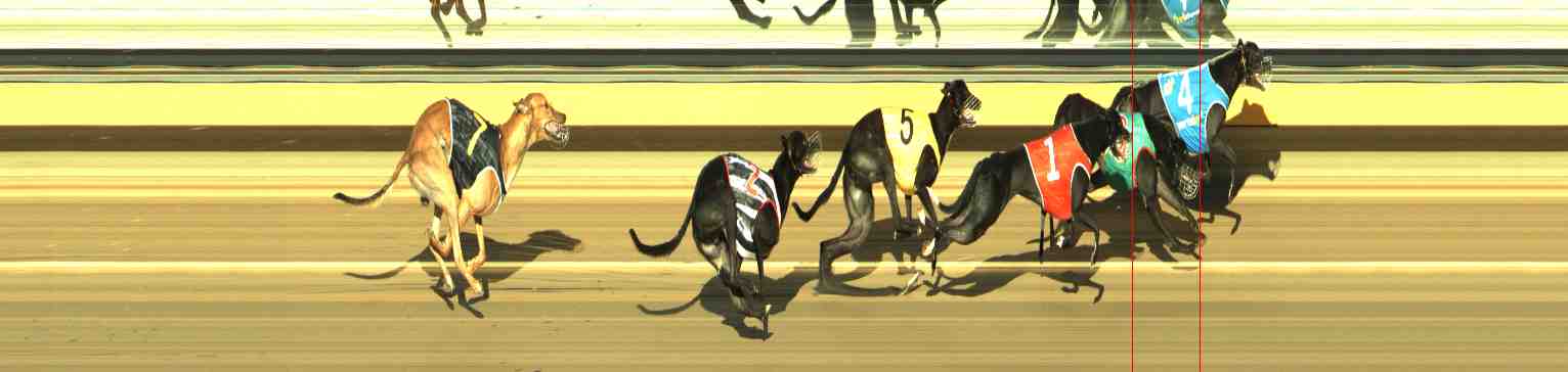 Photo finish for Horsham Race 11