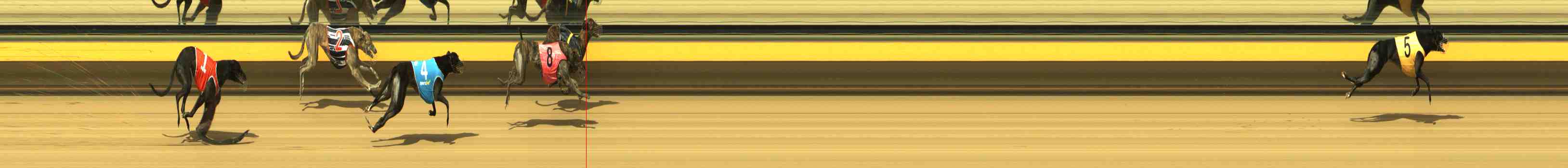 Photo finish for Horsham Race 3