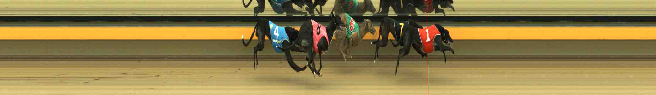 Photo finish for Horsham Race 5