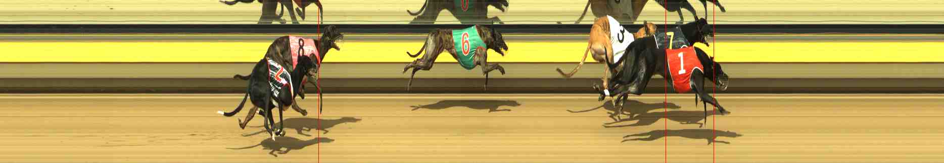 Photo finish for Horsham Race 6