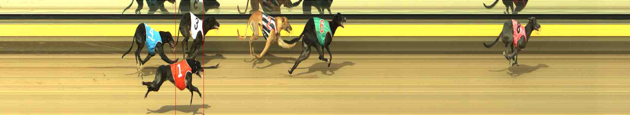 Photo finish for Horsham Race 7
