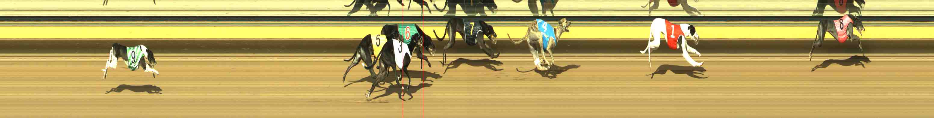 Photo finish for Horsham Race 8