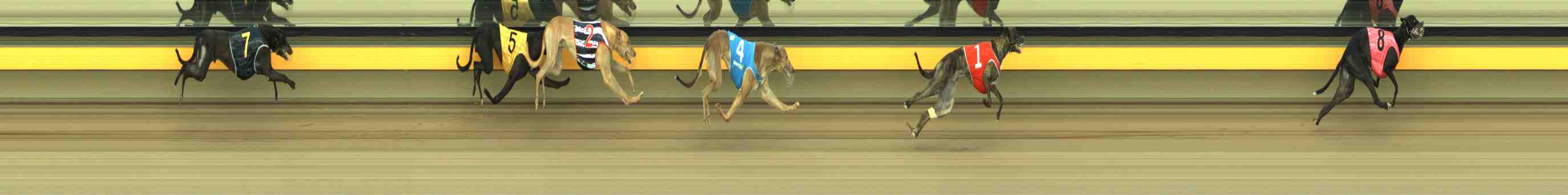 Photo finish for Horsham Race 9