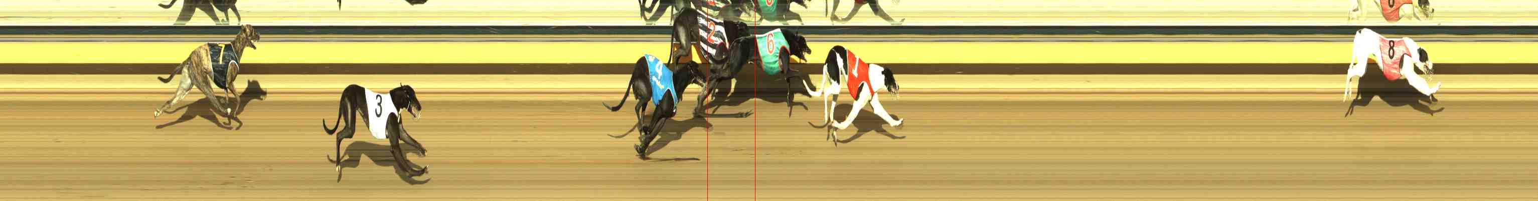 Photo finish for Horsham Race 11