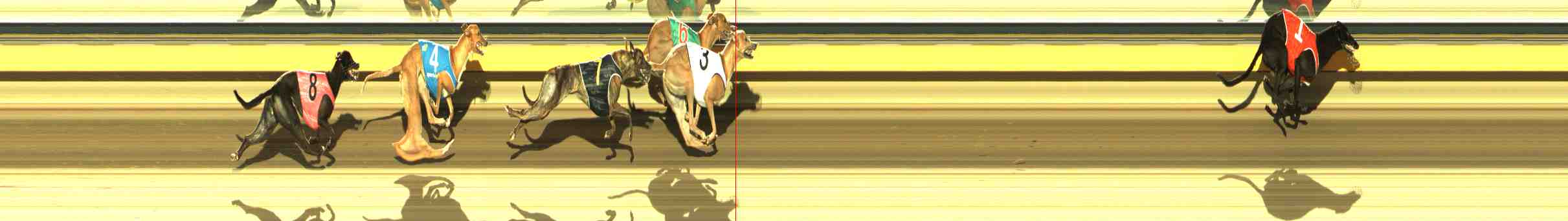 Photo finish for Horsham Race 12