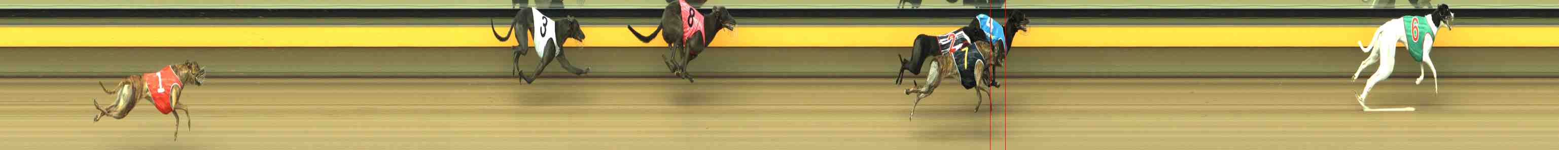 Photo finish for Horsham Race 2