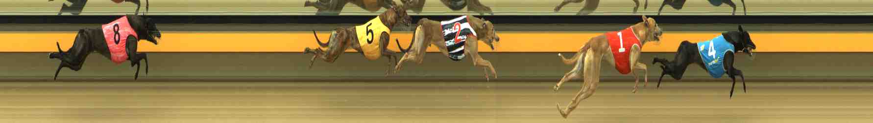 Photo finish for Horsham Race 3