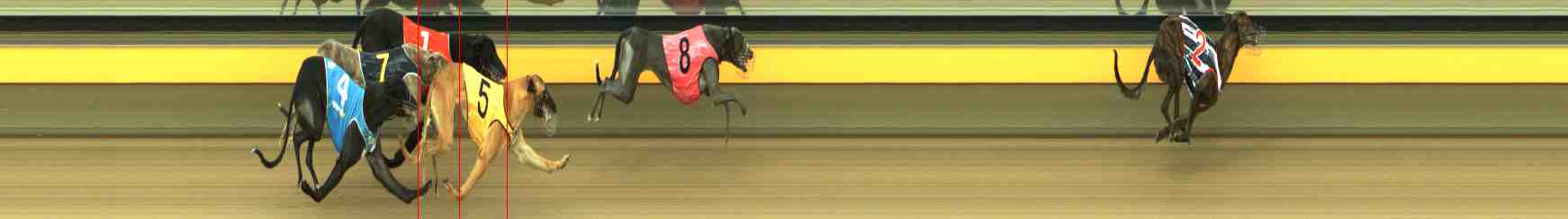Photo finish for Horsham Race 4