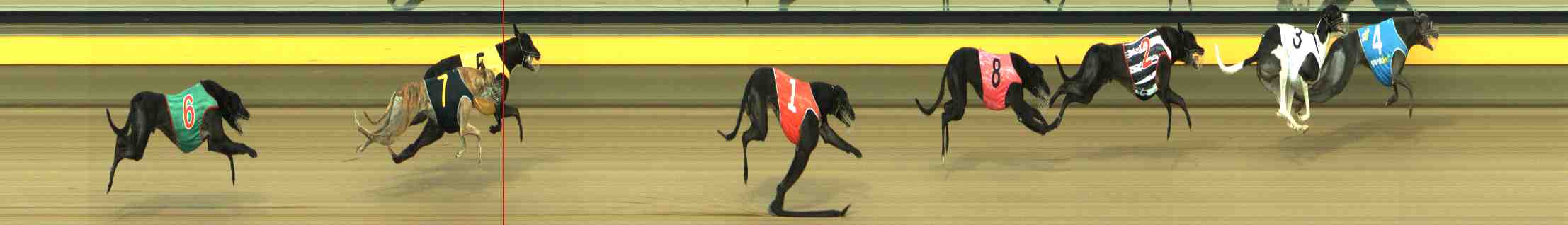 Photo finish for Horsham Race 5