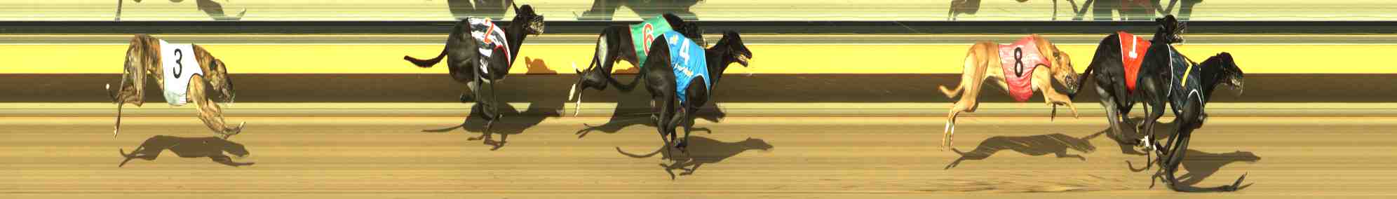Photo finish for Horsham Race 6