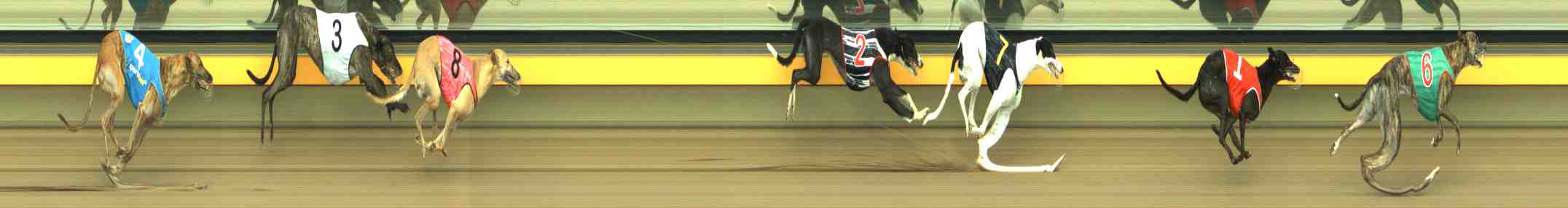 Photo finish for Horsham Race 7