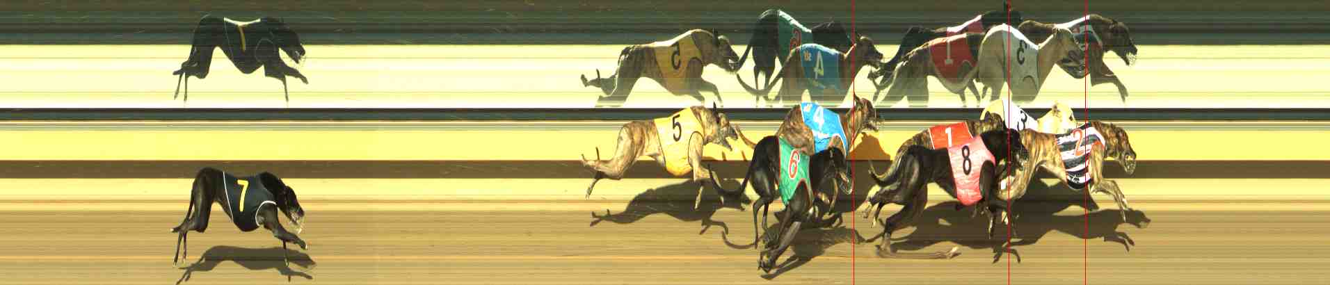 Photo finish for Horsham Race 8