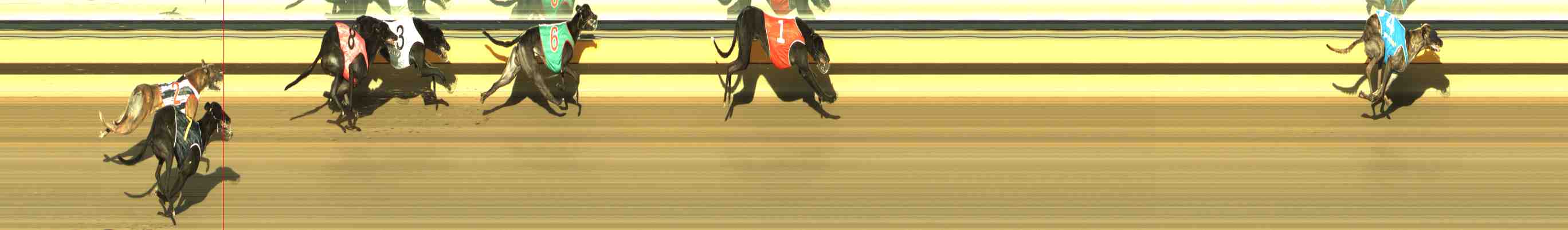 Photo finish for Horsham Race 9