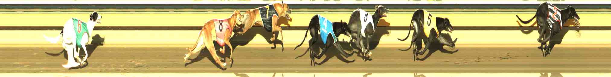 Photo finish for Horsham Race 10