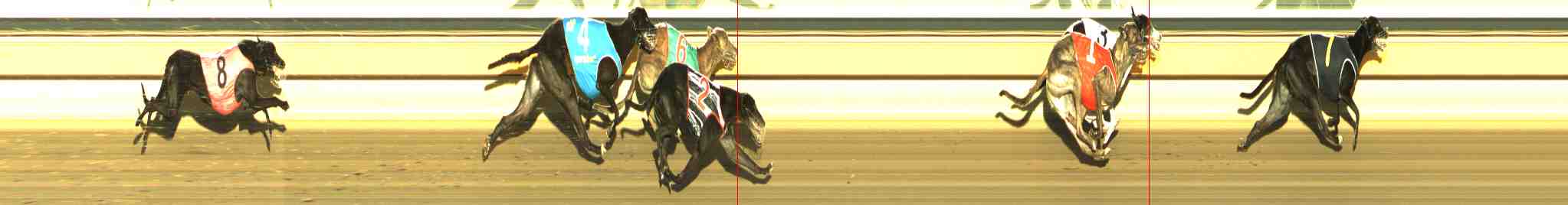 Photo finish for Horsham Race 11