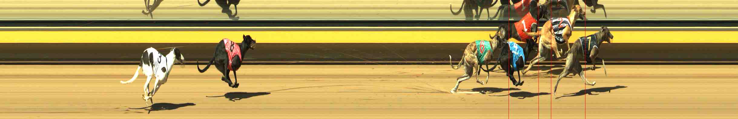 Photo finish for Horsham Race 1