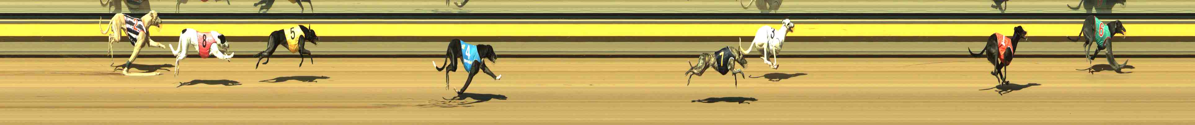 Photo finish for Horsham Race 2