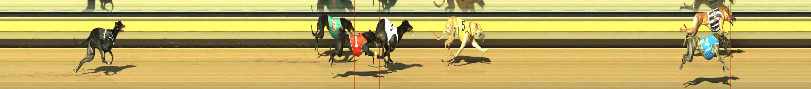 Photo finish for Horsham Race 4